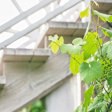 Vila Dom Nad Lubie Lubieszewo  Exteriér fotografie